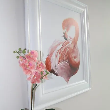 Flamingo City Centre Apartment Krakow